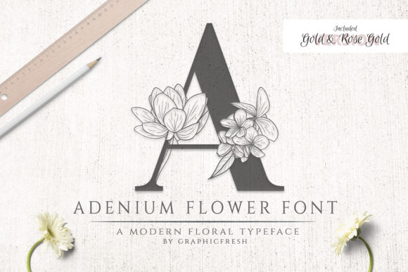 Adenium Flower Typeface Review for Elegant Branding