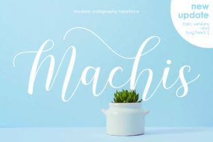 Machis: The Modern Calligraphy Font for Boutique Brand Identity