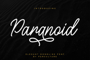 Paranoid Typeface: Elegant Mono Line Script for Digital Branding