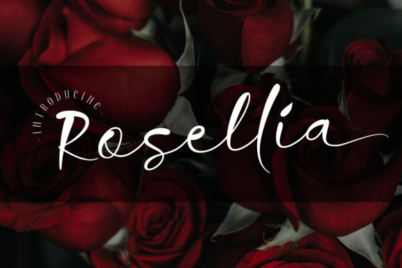 Rosellia Typeface for Boutique Brand Identity