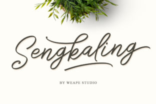 Sengkaling Script Typeface Review for Editorial Design