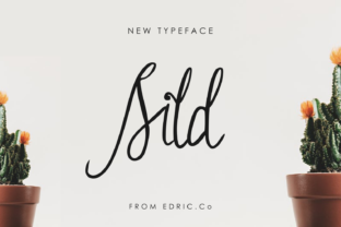 Sild Handwritten Font for Elegant Campaign Design