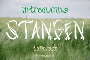 Stangen Typeface: Elevating Digital Brand Identity