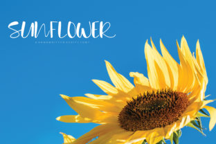 Sunflower Handwritten Font for Organic Branding and Labels