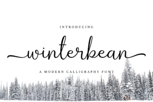 Winterbean Font Review: Elegant Script Handwritten Fonts for Branding